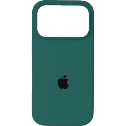 Чехол Silicone Case для Apple iPhone 17 Pro Max Pine Green AA