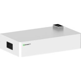 Аккумулятор Growatt LiFePO4 48V (51.2V/100Ah/5120Wh) (AXE 5.0L-C1)