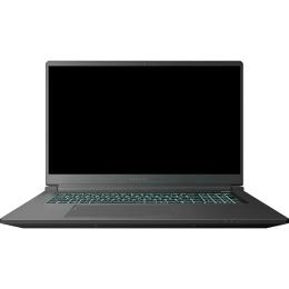 Ноутбук Thunderobot 911 X17 (911X17-13620H5070Q165HDUS)