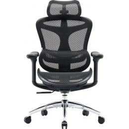 Офисное кресло Sihoo DORO C300L Mesh Black (DORO-C300L-A3-101)