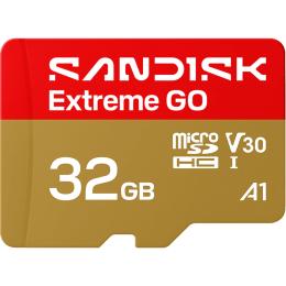 Карта памяти SanDisk microSDHC Extreme GO 32GB Class 10 UHS-I V30 A1 (SDSQXGN-032G-GN6MN)