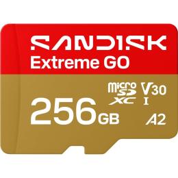 Карта памяти SanDisk microSDXC Extreme GO 256GB Class 10 UHS-I V30 A2 (SDSQXGN-256G-GN6MN)