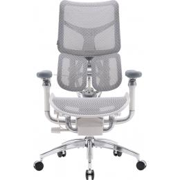 Офисное кресло Sihoo DORO S300 Mesh Light Grey (S300-M202)