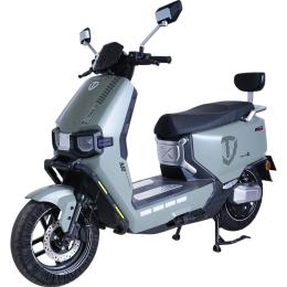 Электроскутер Tailg F-55 C01 Серый
