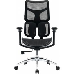 Офисное кресло Sihoo DORO S100 Mesh Black (S100-M301)