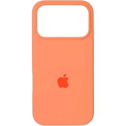 Чехол Silicone Case для Apple iPhone 17 Pro Max Papaya AA