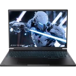 Ноутбук Thunderobot RS16 ID6 (RS16ID6-7945HX16G1T5060)