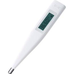 Термометр Xiaomi MiJia Thermometer MMC-W505 (NUN4059CN)