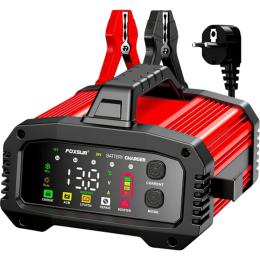 Зарядное устройство Foxsur FPT-250 Red