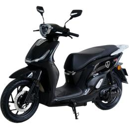 Электроскутер Tailg T-61 GR-302 Black