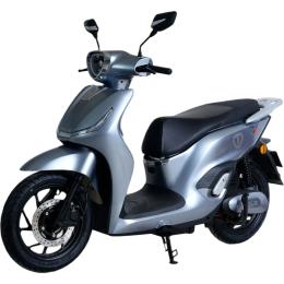 Электроскутер Tailg T-61 GR-198 Grey