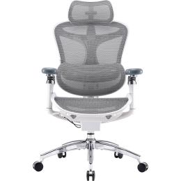 Офисное кресло Sihoo DORO C300 Pro Mesh White (DORO-C300-PRO-M102)