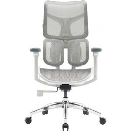 Офисное кресло Sihoo DORO S100 Mesh White (S100-M302)
