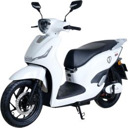 Электроскутер Tailg T-61 GR-106 White