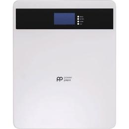 Аккумулятор PowerPlant LiFePO4 24V (25.6V/100Ah/2560Wh) (NV823185)