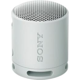 Портативна акустика Sony SRS-XB100 Grey (SRSXB100H.CE7)