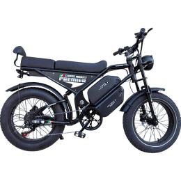 Электровелосипед Corso Premier 20` PR-96150