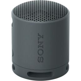 Портативна акустика Sony SRS-XB100 Black (SRSXB100B)