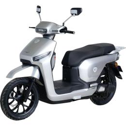 Электроскутер Tailg T-80 GR-635 Grey