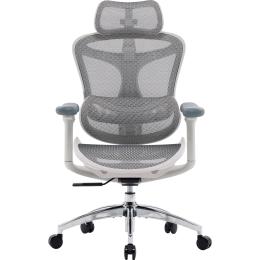 Офисное кресло Sihoo DORO C300L Mesh White (DORO-C300L-A3-102)