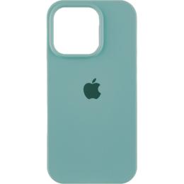 Чохол Silicone Case для Apple iPhone 16 Pro Marine Green AA