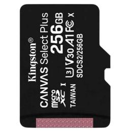 Карта пам'яті Kingston 256GB microSDXC Canvas Select Plus 100R A1 C10 (SDCS2/256GBSP) без SD-адаптера