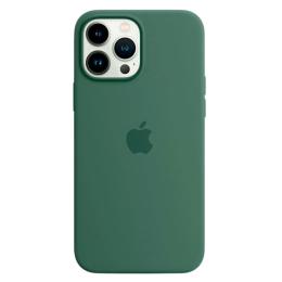 Чохол Silicone Case з MagSafe для Apple iPhone 13 Pro (6.1) (Eucalyptus) ААА
