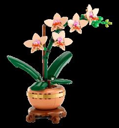 Конструктор LEGO Botanicals Міні орхідея