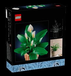 Конструктор LEGO Botanicals Спатифілум