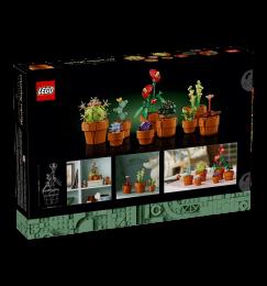 Конструктор LEGO Icons Botanicals Маленькі квіти