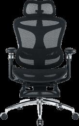 Крісло офісне з підставкою для ніг Sihoo DORO C300 Pro Mesh Black with footrest