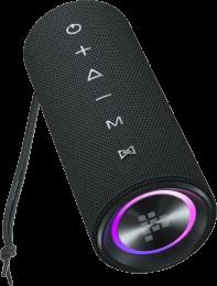 Портативна акустика Tronsmart Mirtune C2