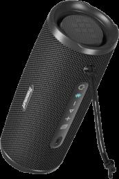 Портативна акустика Tronsmart Mirtune C3 Plus Black