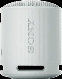 Портативна колонка Sony SRS-XB100 Grey (SRSXB100H.CE7)