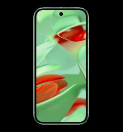 Смартфон Google Pixel 9 12/256GB Wintergreen
