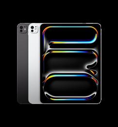 iPad Pro 13 M4 (2024) Wi-Fi 2TB with Standard Glass Silver (MVX93)