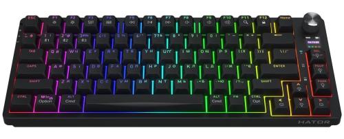 Клавіатура HATOR Icefall PRO Wireless Black (HTK450UA)