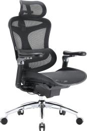 Ігрове крісло Sihoo DORO C300 Pro Mesh Black (DORO-C300-PRO-M101)