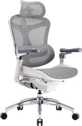 Ігрове крісло Sihoo DORO C300 Pro Mesh White (DORO-C300-PRO-M102)