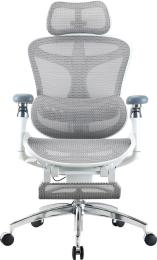 Офісне крісло Sihoo DORO C300 Pro Mesh White with footrest (DORO-C300-PRO-M102-JT)