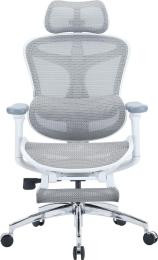 Офісне крісло Sihoo DORO C300L Mesh White with footrest (DORO-C300L-A3-102-JT)