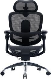 Офісне крісло Sihoo C300 PRO V2 Black (C300-PRO-V2-B101)