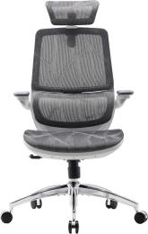 Офісне крісло Sihoo M59AS Mesh Gray (M59AS-M301)