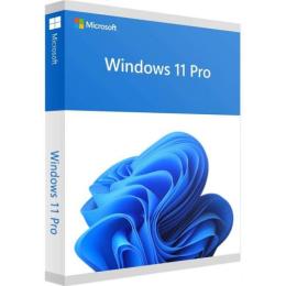 Операційна система Microsoft Windows 11 Professional 64-bit Multilanguage (ESD електронний ключ) (FQC-10572)