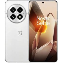 Смартфон OnePlus 13 16/512GB Arctic Dawn (Global)