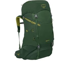 Туристичний рюкзак Osprey Ace 38 Green (10 - 17 років)
