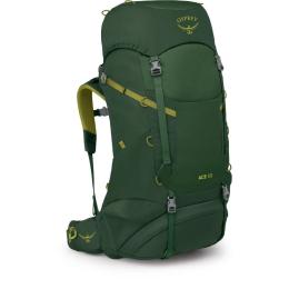 Туристичний рюкзак Osprey Ace 50 O/S Green Canopy (009.3886)