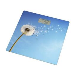 Ваги підлогові Grunhelm BES-BLB Blue