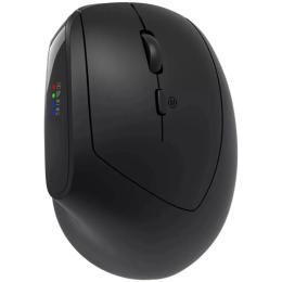 Мишка Canyon MW-25 Ergonomic LED AA Dual mode Wireless Black (CNS-CMSW25)