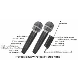 Мікрофонна радіосистема Big DS02S KARAOKE (eff+ vol+ battery)